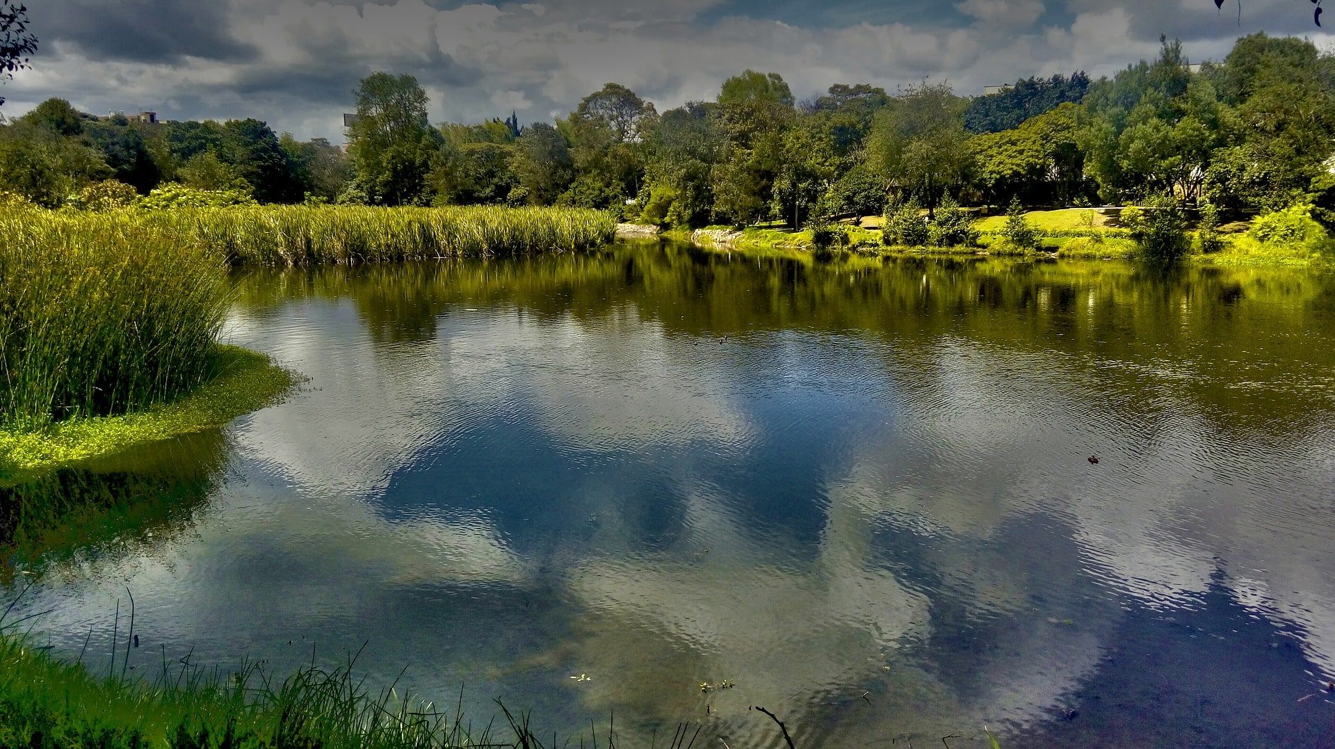 Lago y naturaleza en parque Simón Bolívar, Bogotá