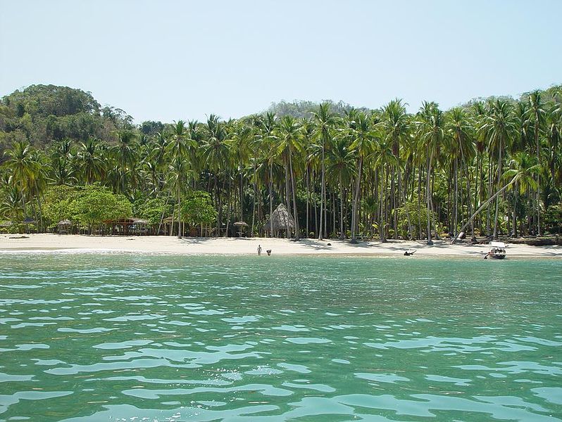 Palmeras en la costa de Isla Tortuga 
