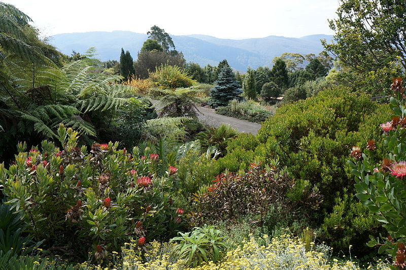 Jardín Botánico Mount Tomah