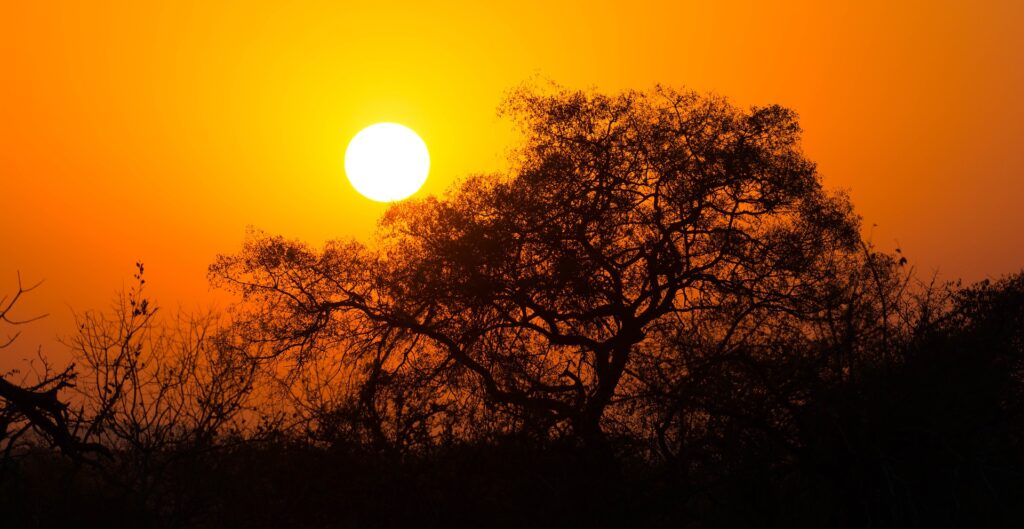 puesta de sol en Parque Nacional de Kruger