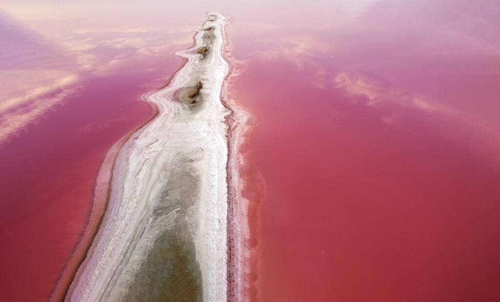 Laguna rosa de México