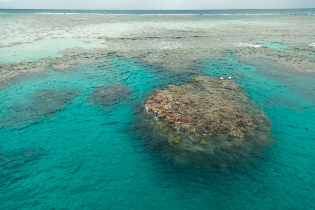 Gran Barrera de Coral, Australia