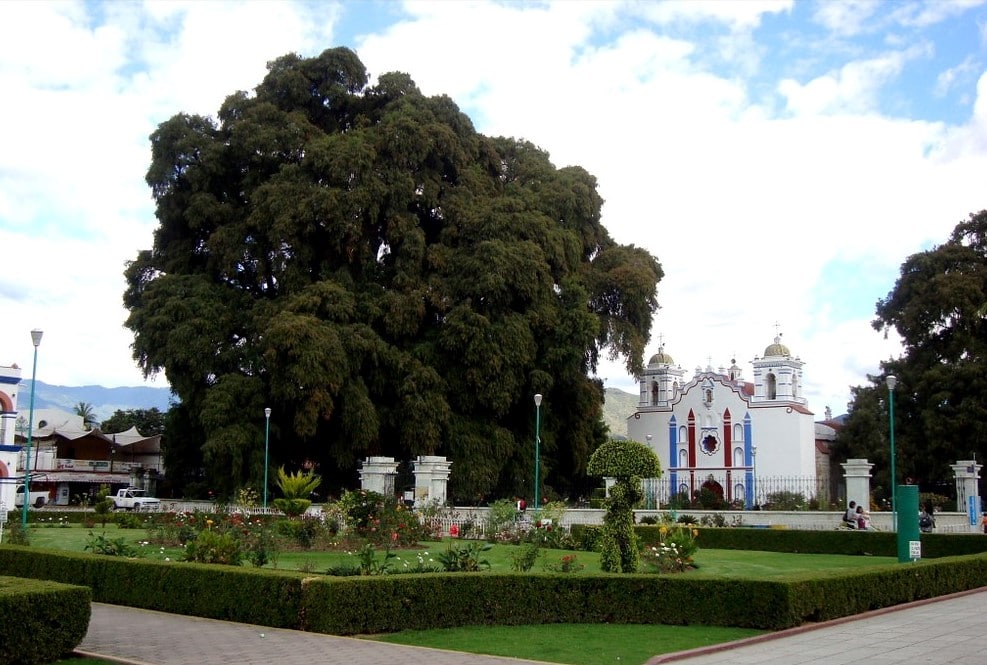 Santa María de Tule
