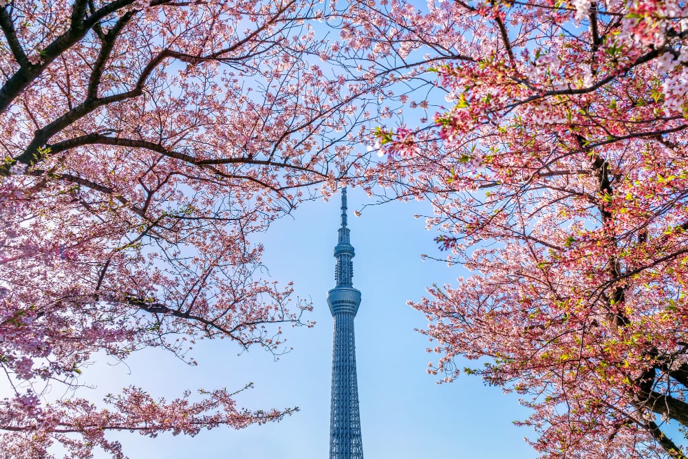 Tokyo-Sky-Tree