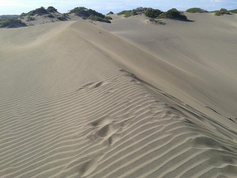 dunas de baní