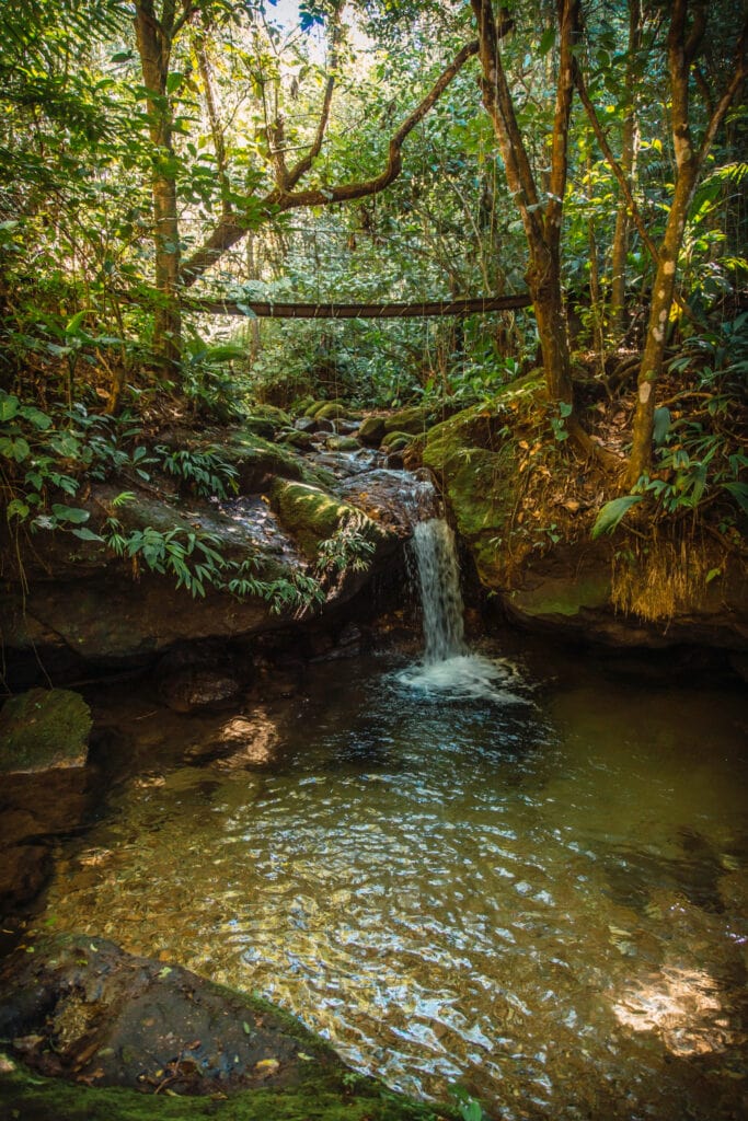 naturaleza en Parque Nacional Azul Meambar