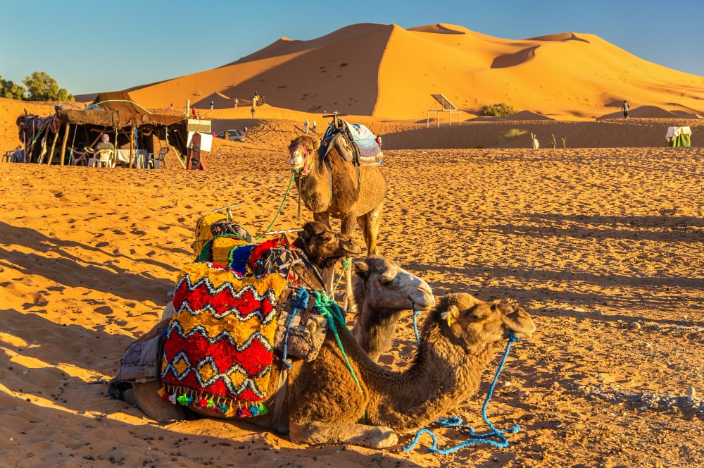 desierto-de-Marruecos