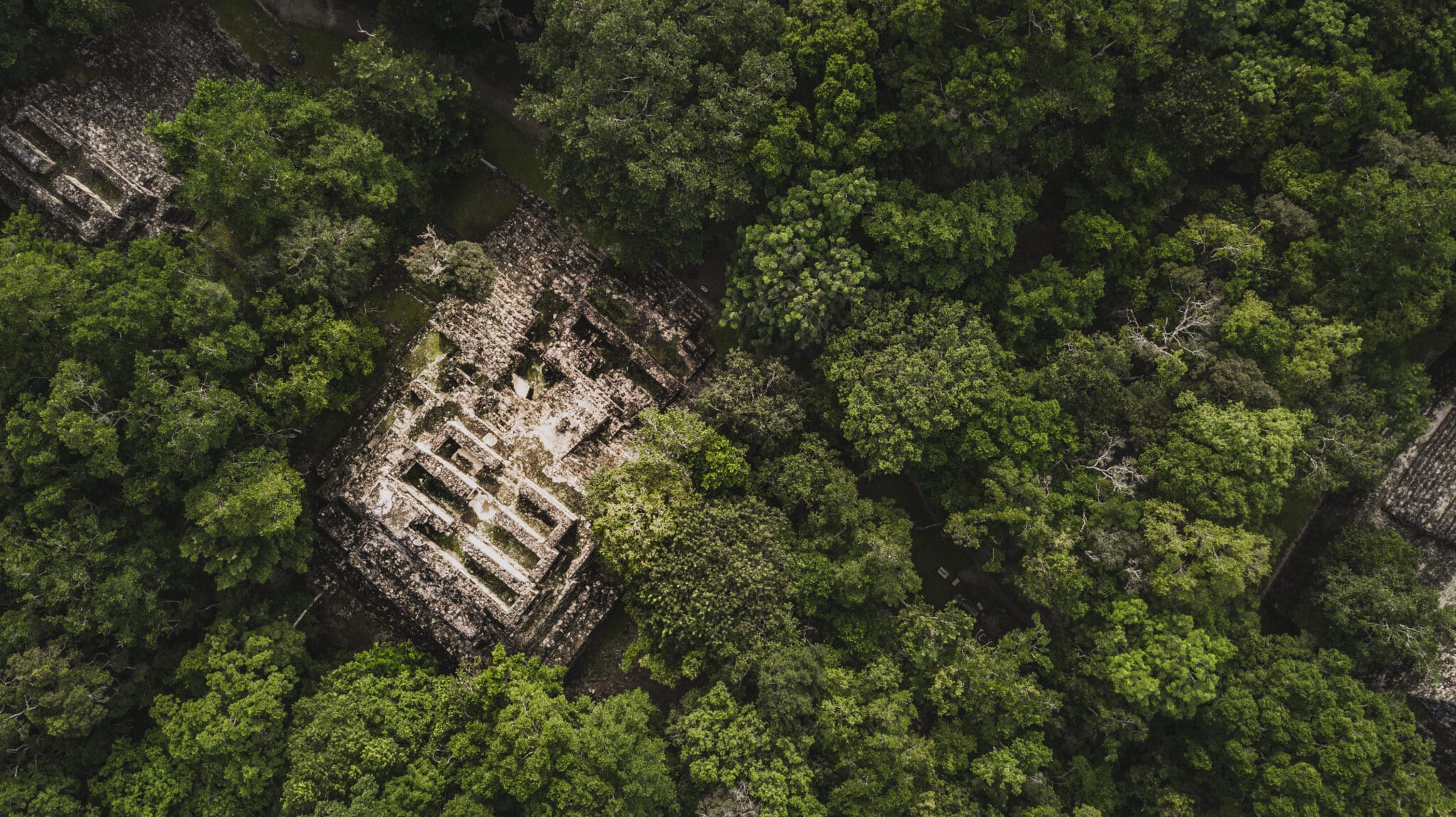 zona arqueológica de Calakmul