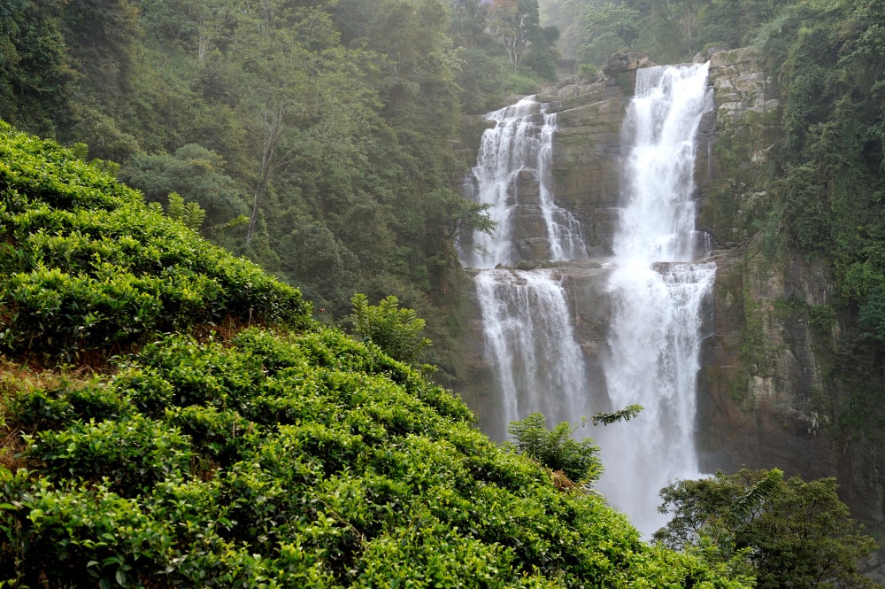 cascada en Sri Lanka