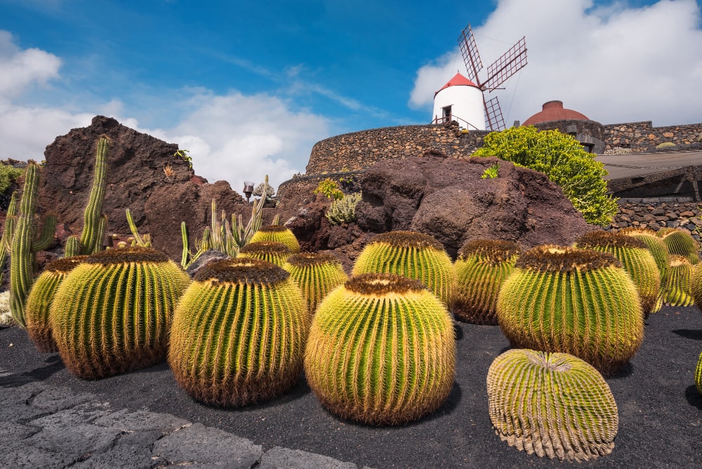 jardín-de-los-cactus-Lanzarote