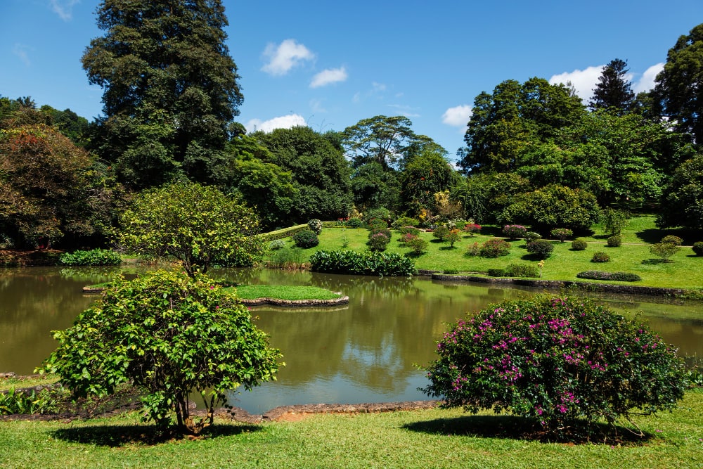 Real Jardín Botánico de Peradeniya