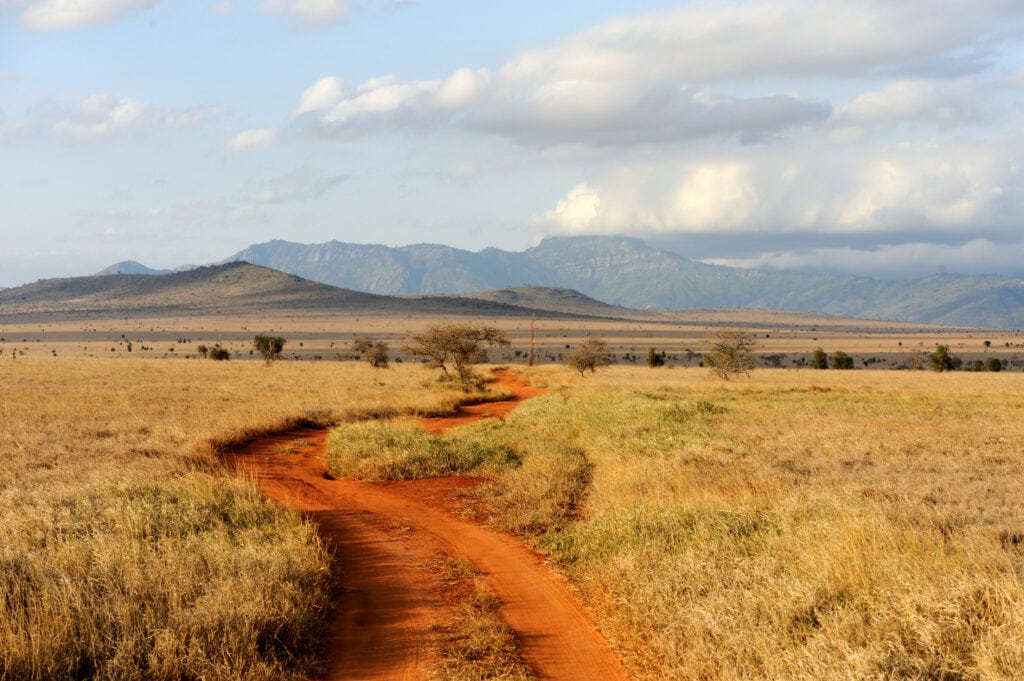 Serengueti-Tanzania
