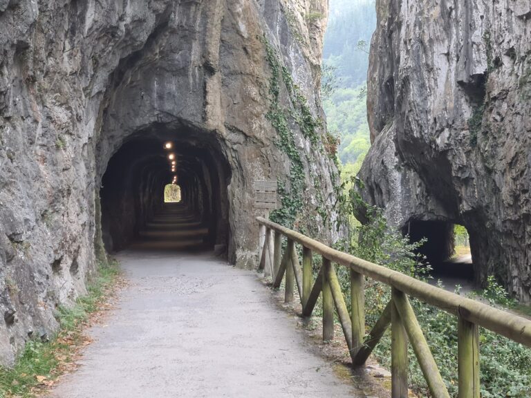 senda-del-oso-asturias