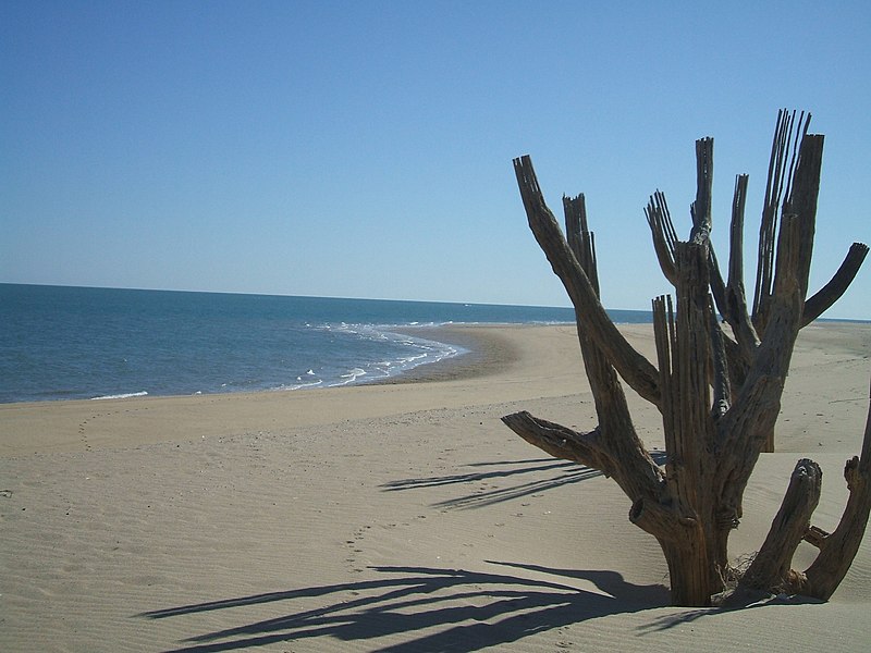 playas de San Felipe
