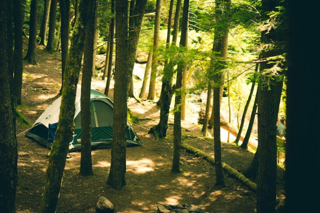camping-Los-Alerces