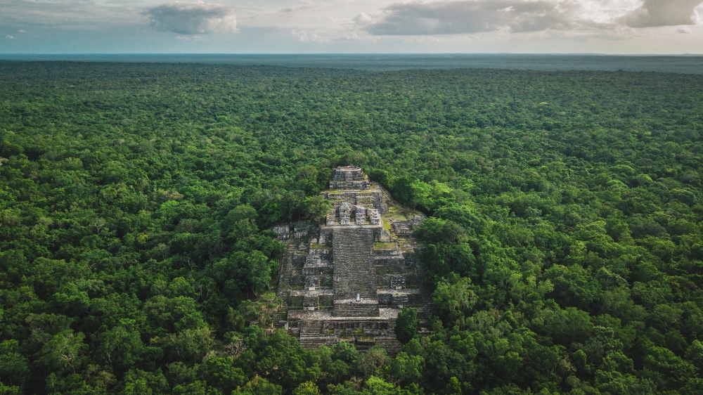 vista de Calakmul