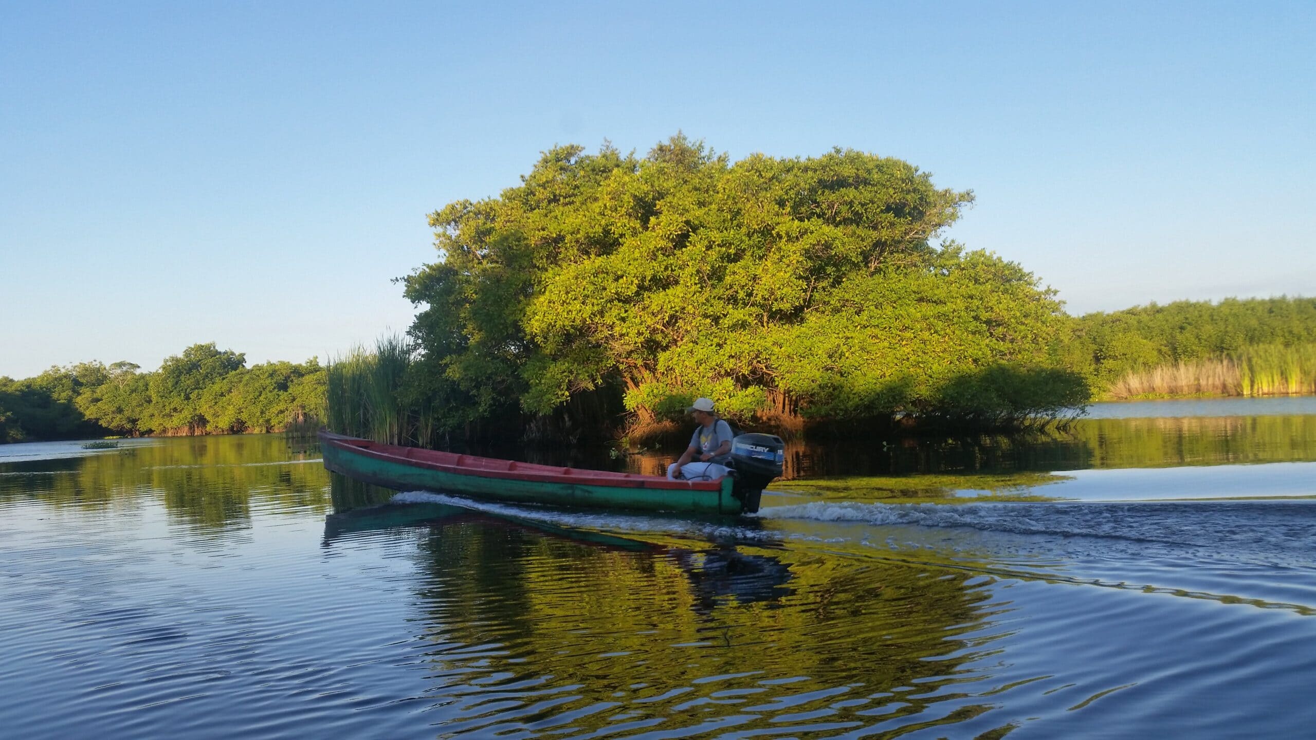 manglares-de-monterrico