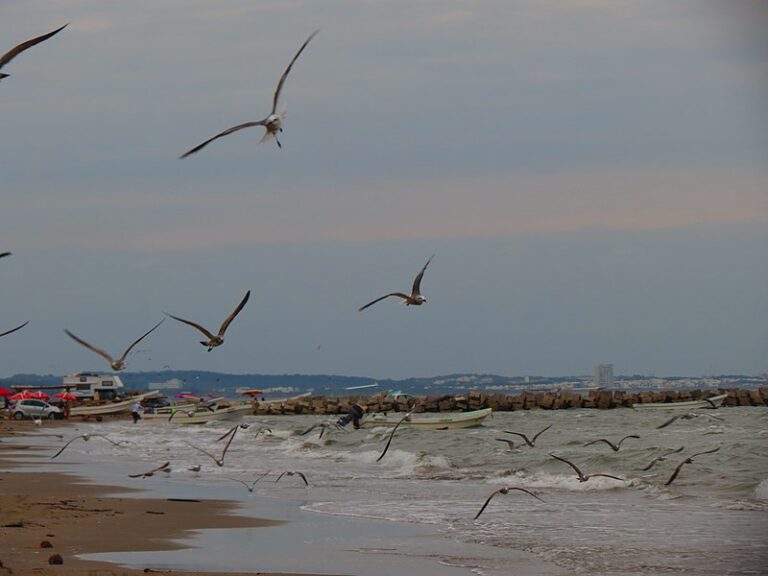 amanecer en playa chachalacas