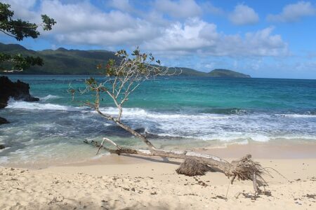 Qué ver en Playa Rincón, República Dominicana - Viajeros Ocultos