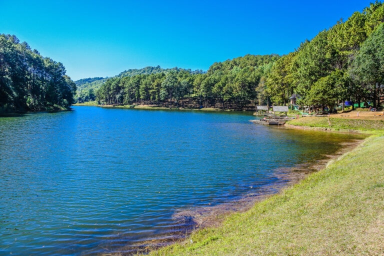 lago el pino