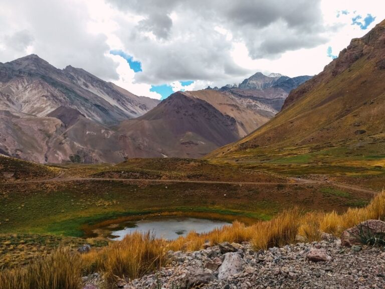 Dónde comer en Mendoza.