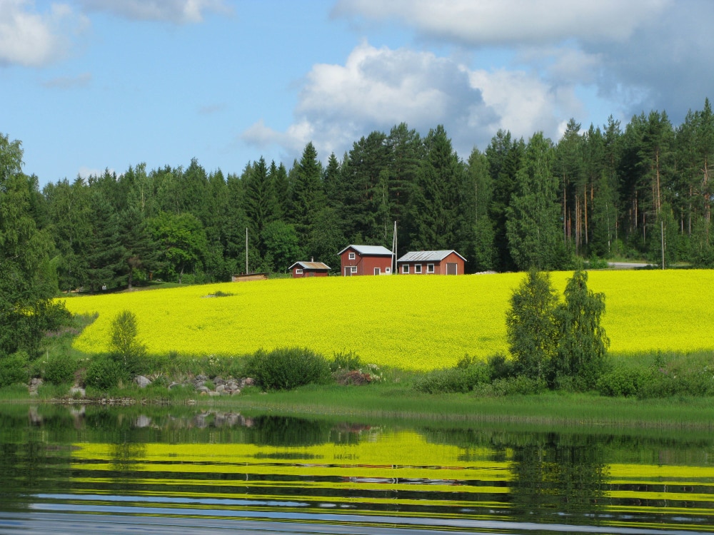 paisaje en finlandia