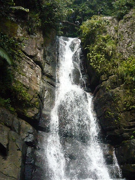 cascadas Bosque Nacional El Yunque