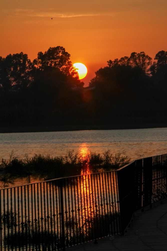 puesta de sol Parque Doñana