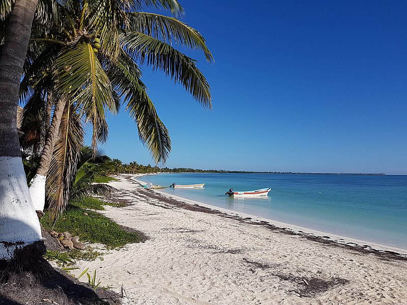 arena y palmeras en playa Punta Allen