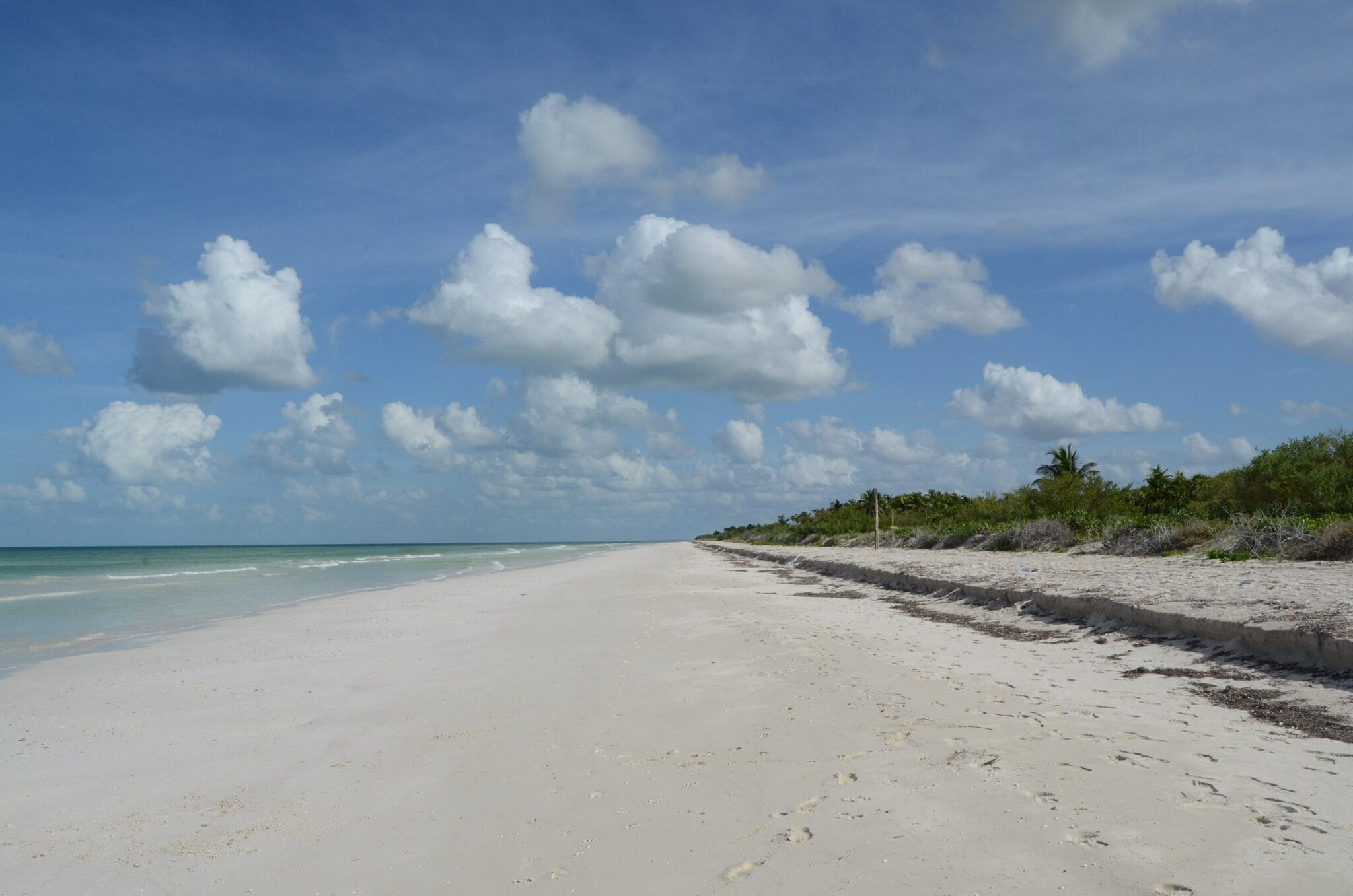 De viaje por El Cuyo, Yucatán Viajeros Ocultos