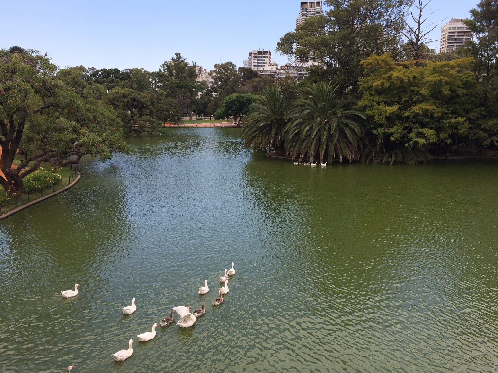 Paseo por los Bosques de Palermo Viajeros Ocultos