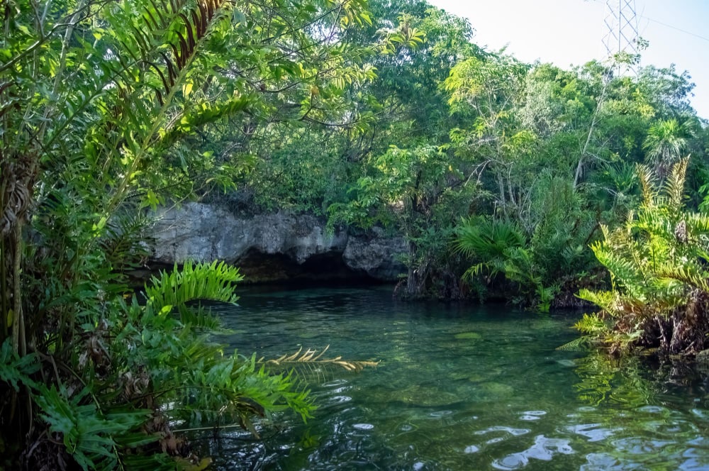 paisaje del Cenote Azul