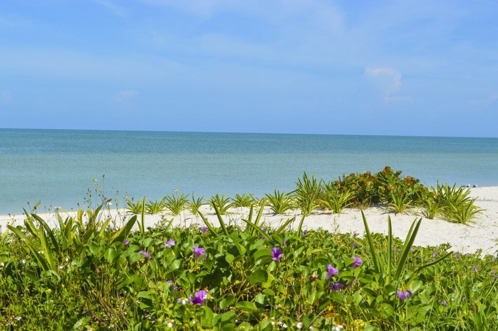 playas de Yucatán