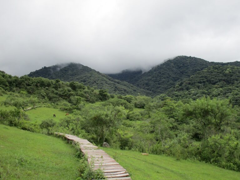 Villa San Lorenzo, Salta