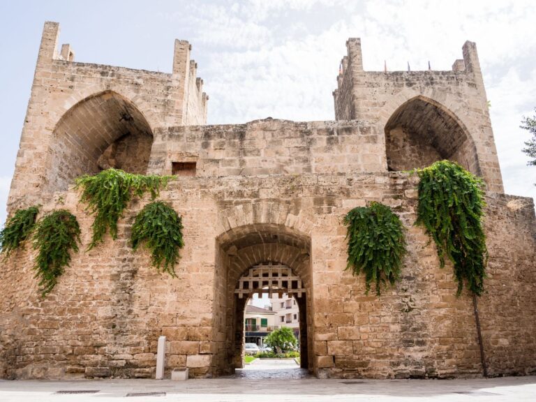 Restaurantes en Alcudis7