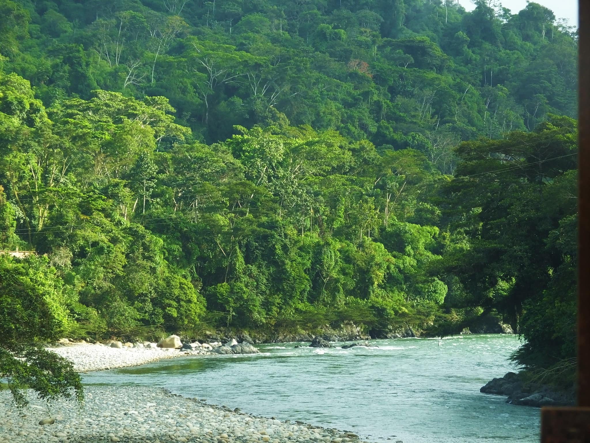 áreas-naturales-protegidas-del-perú-río-manu