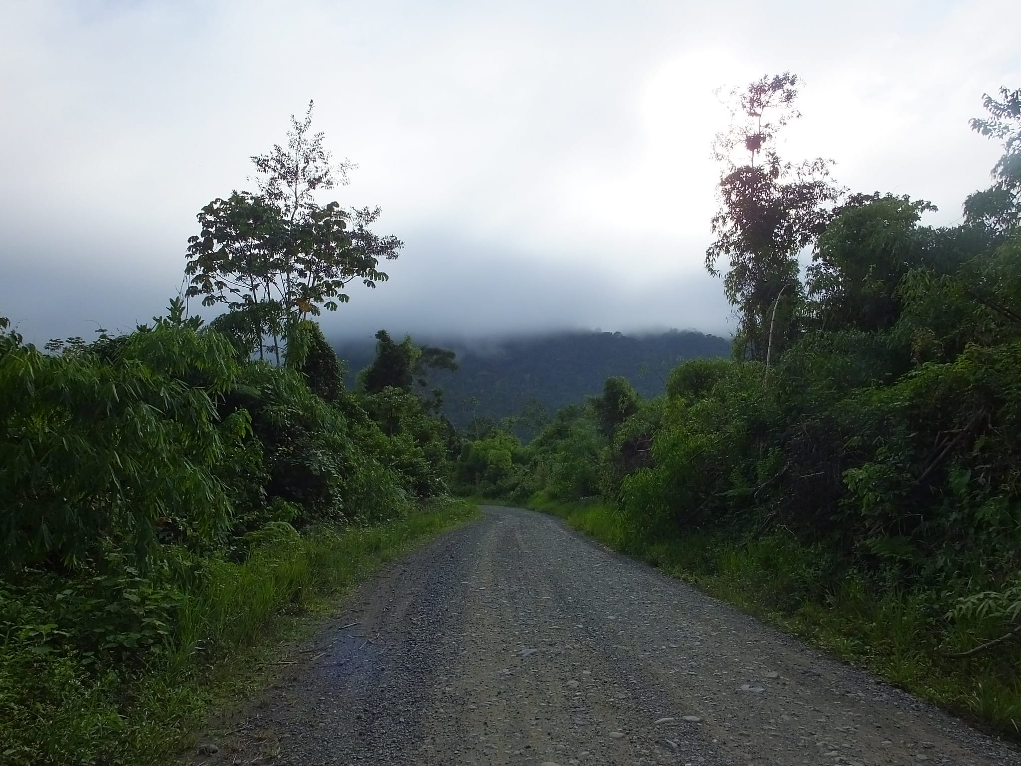 Parque-Nacional-del-Manu