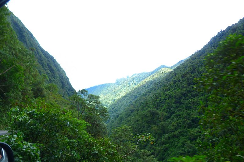 Parque Nacional Yanachaga-Chemillen