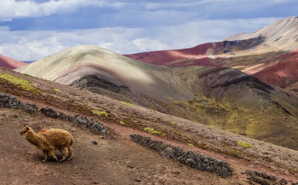 parques nacionales y reservas de Perú