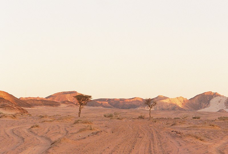 dunas en Desierto del Sinaí