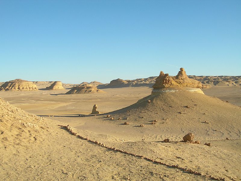 Wadi al-Hitan