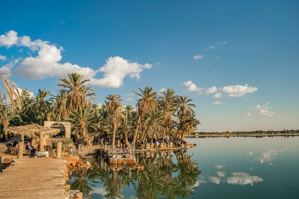 oasis-de-egipto