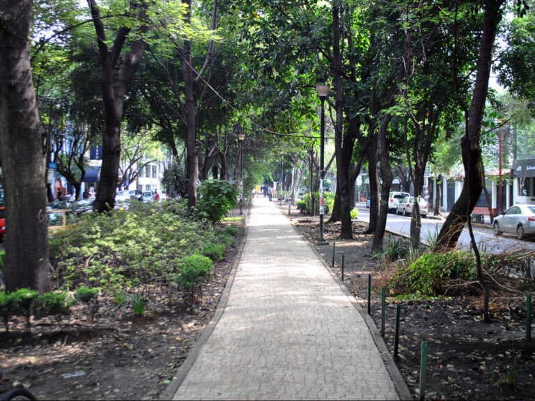 Lugares para comer en la Condesa