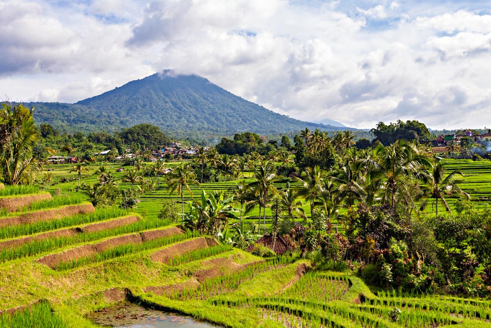 arrozales-de-Bali-Jatiluwih