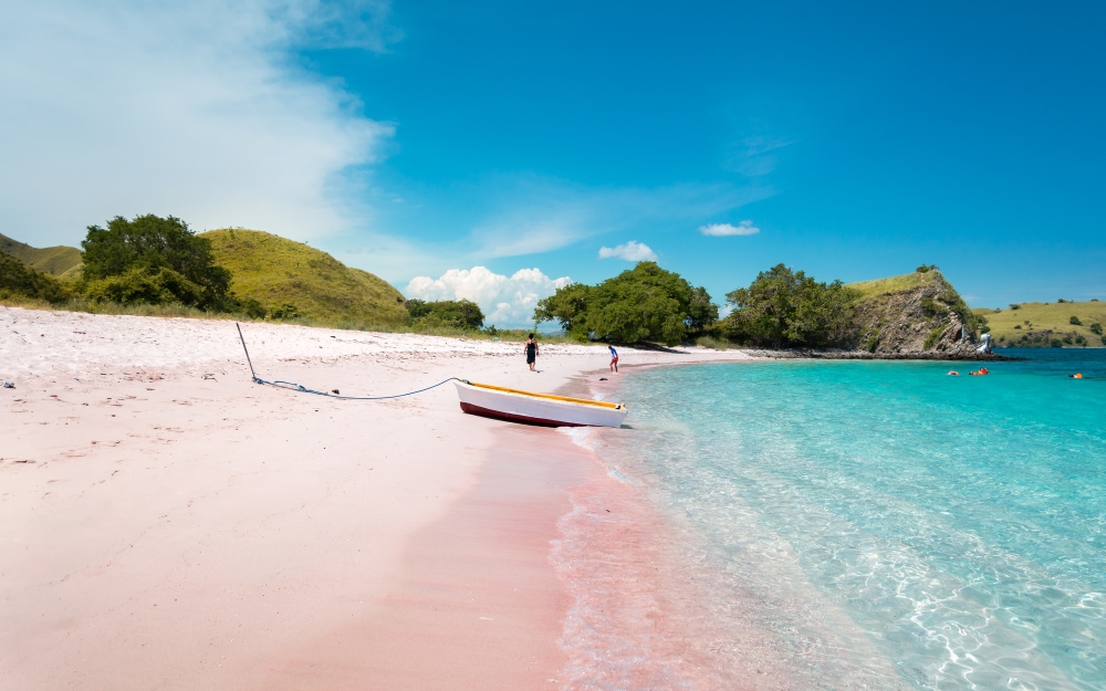 pink-beach-Indonesia