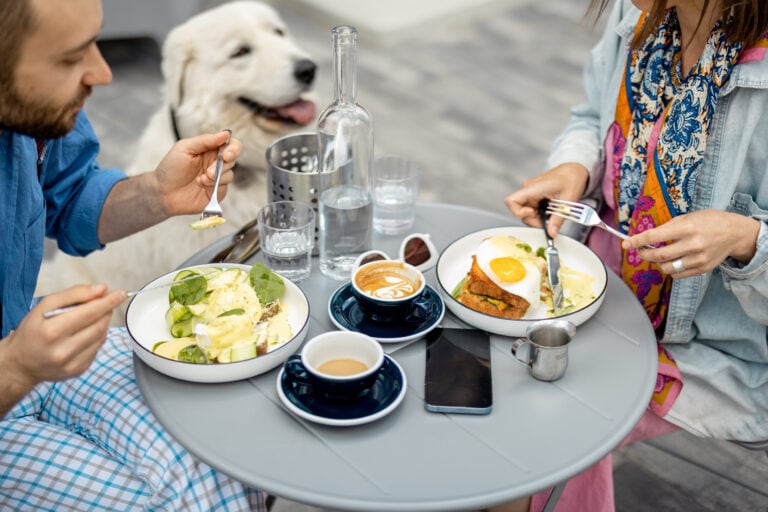 Mejores restaurantes Pet Friendly en CDMX