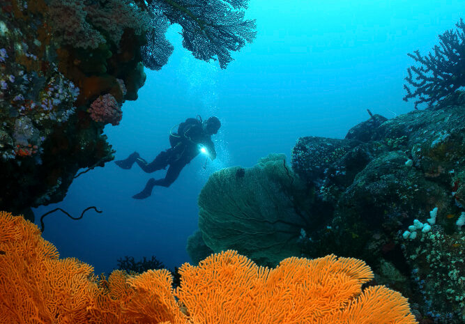 indonesia-fondo-marino