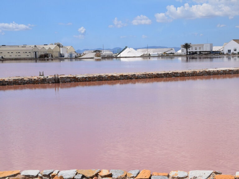 Mejores lugares para comer en San Pedro del Pinatar.