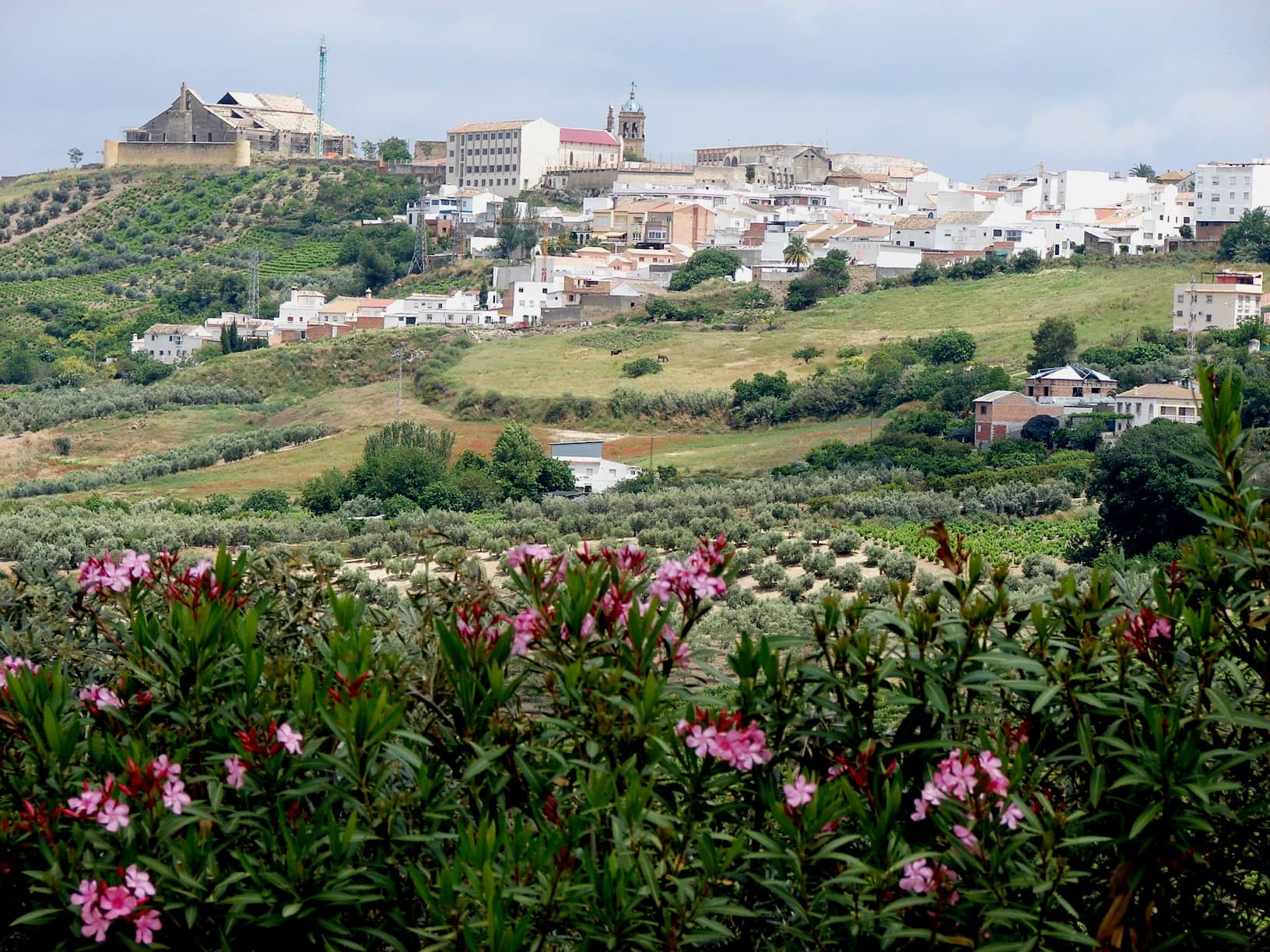 Montilla-pueblos-que-ver-en-Córdoba