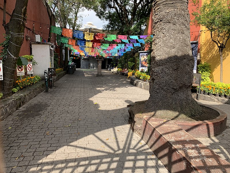 calles de mercado de Coyoacán